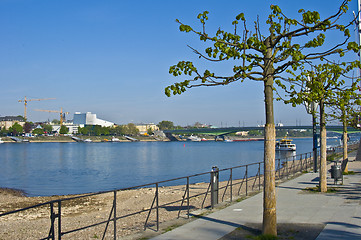 Image showing Rhine promenade in Bonn