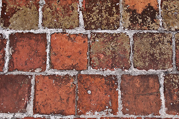 Image showing Roof shingles.