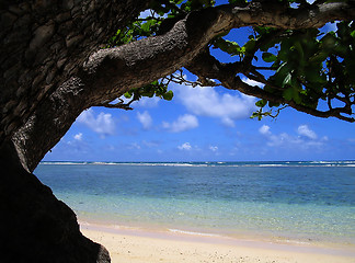 Image showing Natural Beach Frame