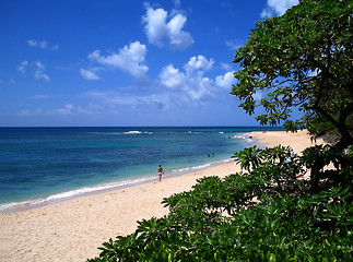 Image showing North Shore Stroll