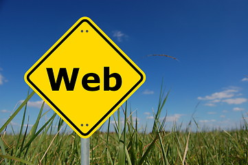 Image showing web