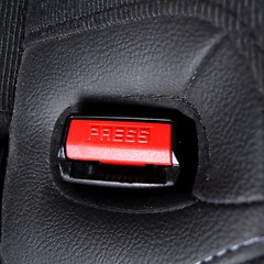 Image showing seat belt