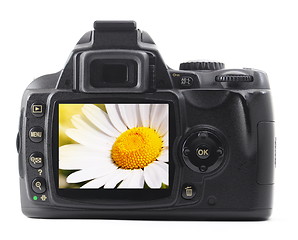 Image showing holiday flower on camera