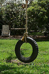 Image showing Tire swing