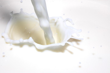 Image showing splashing milk