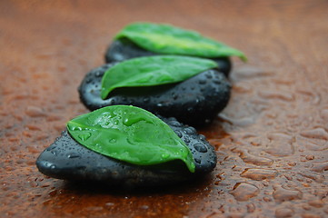 Image showing zen concept with stones and leaves