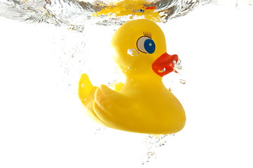 Image showing rubber duck