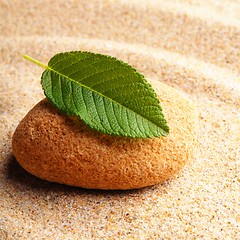 Image showing zen stone with leaf