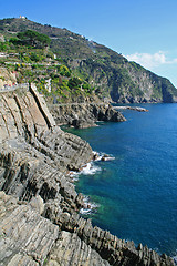 Image showing Italy. Cinque Terre coastline