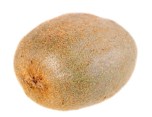 Image showing One full fruit of kiwi