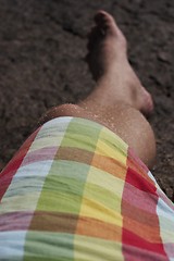 Image showing Summer Shorts