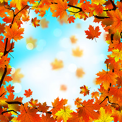 Image showing Red and yellow leaves against blue sky. EPS 8