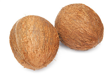 Image showing Coconuts