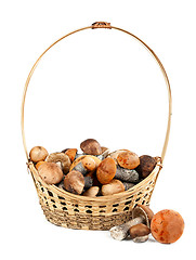 Image showing Basket with mushrooms