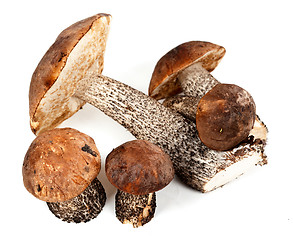 Image showing handful of mushrooms