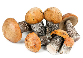 Image showing handful of mushrooms