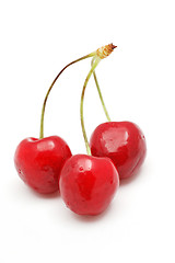 Image showing Cherry