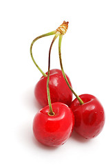 Image showing Cherry