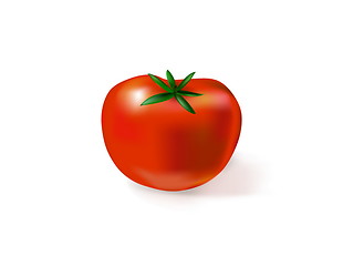 Image showing tomato