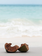 Image showing Coconut shells