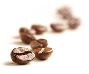 Image showing Coffee Beans