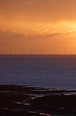 Image showing offshore windfarm