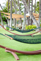 Image showing empty hammock