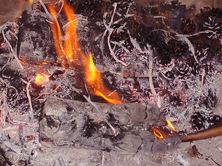 Image showing Flame and ashes