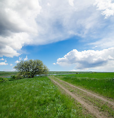 Image showing rural road