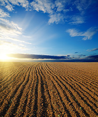 Image showing black ploughed field