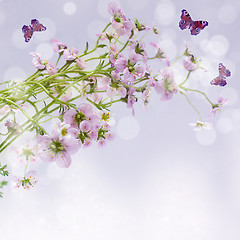 Image showing Spring Morning Concept - Flowers with Dew and Butterfly on backg