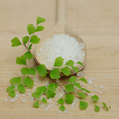 Image showing Spa Concept - Bath Salt and Green Leaves on Background