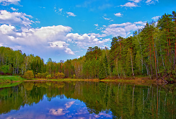 Image showing Forest lake