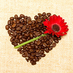 Image showing Heart - coffee and red flower on background