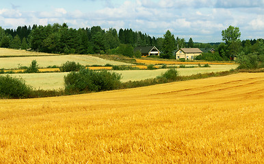 Image showing Beautiful landscape - field, farm and sky