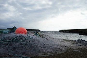 Image showing Norwegian Fish