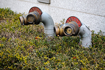 Image showing Korean fire hydrants