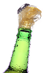 Image showing Beer being poured from a bottle over white