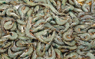 Image showing Shrimps at seafood market