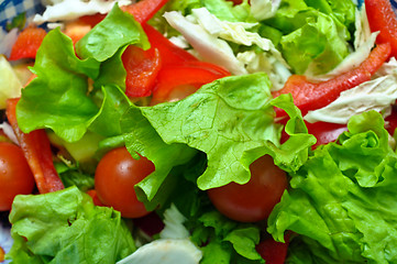 Image showing Vegetable salad from cucumbers, pepper, tomatoes, green salad