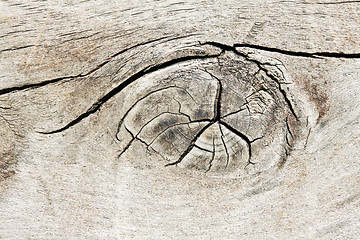 Image showing Wood texture