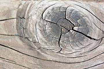 Image showing Texture of old wood with cracks