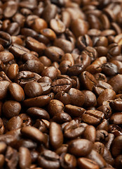 Image showing Coffee roasted beans