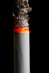 Image showing Decaying cigarette