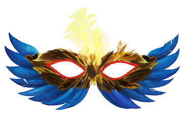 Image showing feather mask