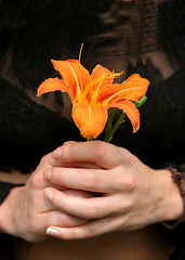 Image showing Holding a flower