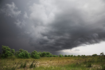 Image showing Field, green bushes and trees, the sky with thunderclouds