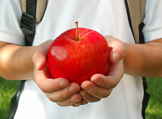 Image showing apple for the teacher