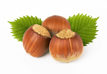 Image showing hazelnuts with leaves