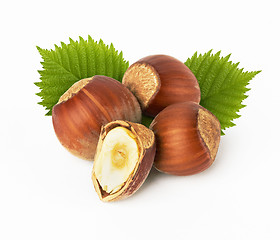 Image showing hazelnuts with leaves